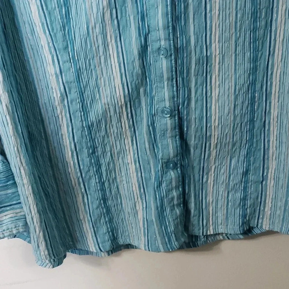 JM Collection Blue Button Down - Picture 4 of 13